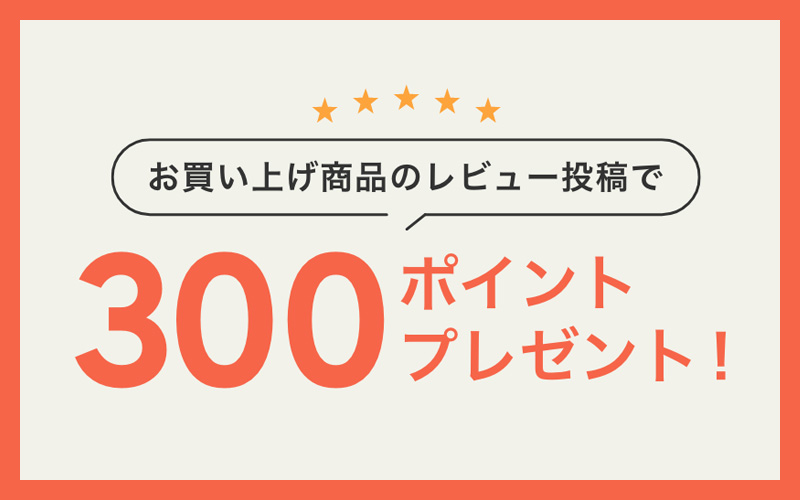 商品レビュー投稿で300ポイントプレゼント