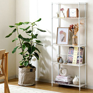 LL2560-5WH